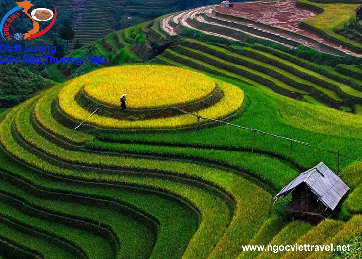 TOUR HÀ NỘI – SAPA – FANSIPAN 4 Ngày 3 Đêm