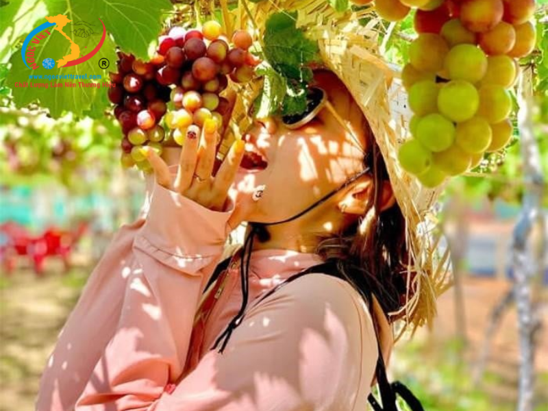 KHÁM PHÁ ĐẢO BÌNH HƯNG – VỊNH VĨNH HY