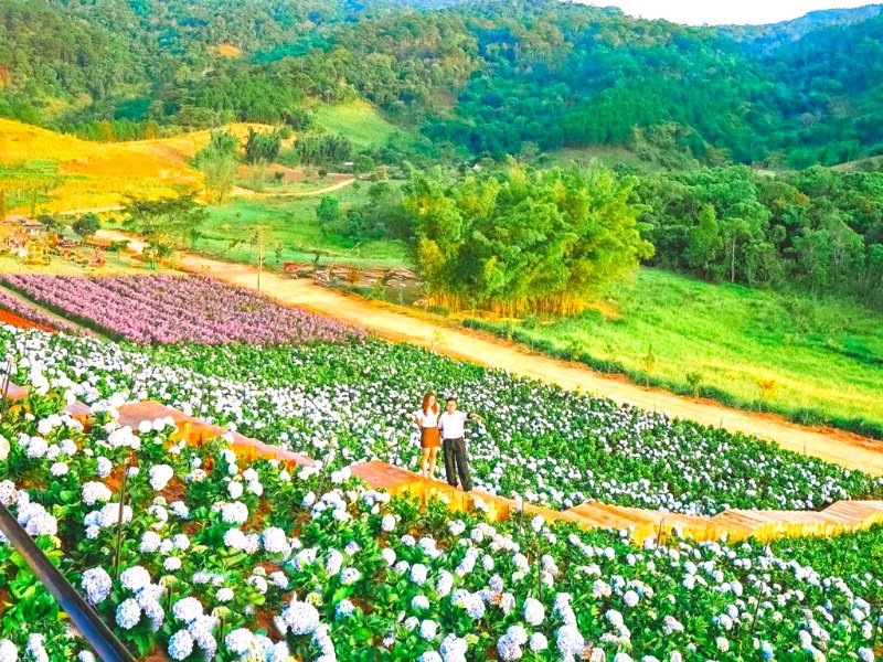 TOUR NHA TRANG - ĐÀ LẠT 4N4Đ