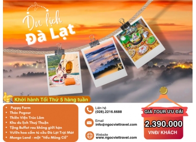 TOUR ĐÀ LẠT 3 NGÀY - KDL MONGO LAND - KDL THÚY THUẬN  - SAMTEN HILLS